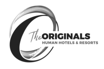 Logo THE ORIGINALS noir et gris