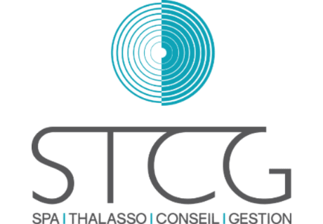 Logo STCG gris et bleu