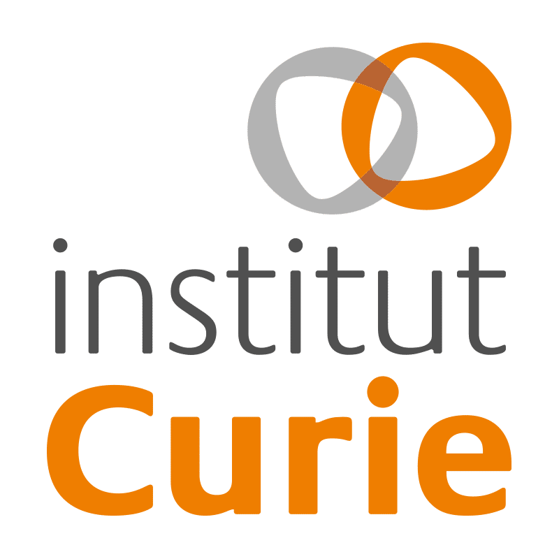 Logo INSTITUT CURIE orange et gris
