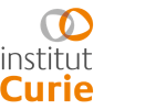 Logo INSTITUT CURIE orange et gris