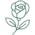 rose